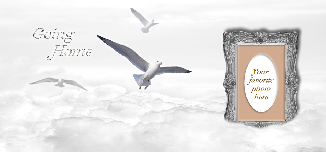 Going Home Clouds Birds White-Silver